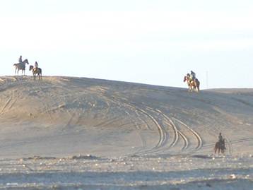 En esta zona de mdanos cay la mquina