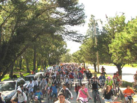 A pedalear se ha dicho: este domingo desde las 11 y desde el centro