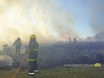 Bomberos y quema de pastizales: un dolor de cabeza de cada ao (foto de archivo)