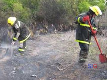 Bomberos: algo ms que apagar incendios