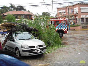 Un rbol cay sobre un automovil en 3  y 115