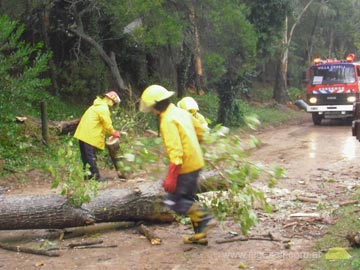 Bomberos tuvieron trabajo con el temporal