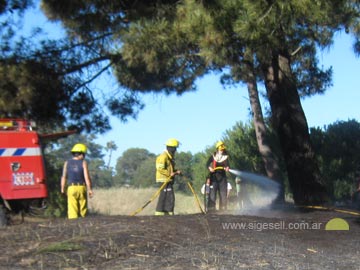 Como es comn a esta altura del ao, incendio de pastizales (foto Bomberos Mar Azul)