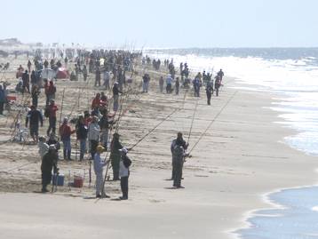 Ya tradicional en Gesell, la Fiesta Nacional de la Brotola