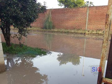 Desde el ingreso a su casa, esta es la vista del paseo 129