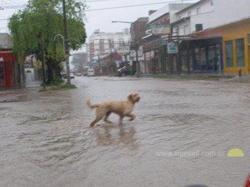 Hay que arreglarselas como se puede para cruzar 105 y 4