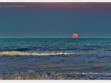 La luna llena en el mar (foto gentileza Corina Pantano)