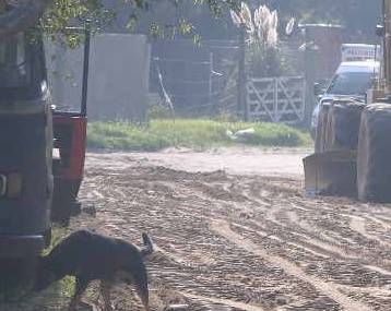 Calles de Monte Rincn. Vecinos reclaman por vandalismo        