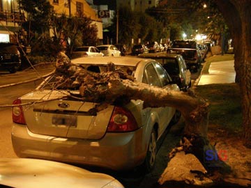 As qued la pesada rama sobre el automovil (foto gentileza SF)