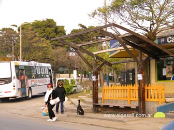 Los sin techo: no son desplazados sociales, son refugios del centro (foto 105 y 4)