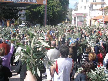 Una multitud en la Plaza Primera Junta con sus ramos de olivo