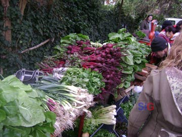 stand madariaguense,con sus vegetales de produccin orgnica. 