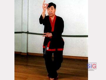 Soo-Nam Yoo es el mayor exponente del estilo Ion Bi Ryu 