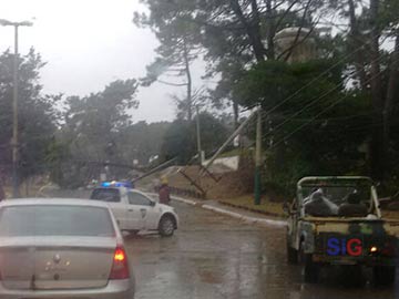 Un arbol cayo en Boulevard casi Buenos Aires, y arrastr parte del tendido electrico 