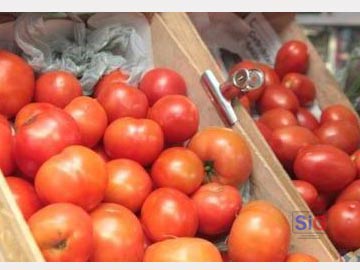 El tomate perita marcha al frente del aumento en el ao